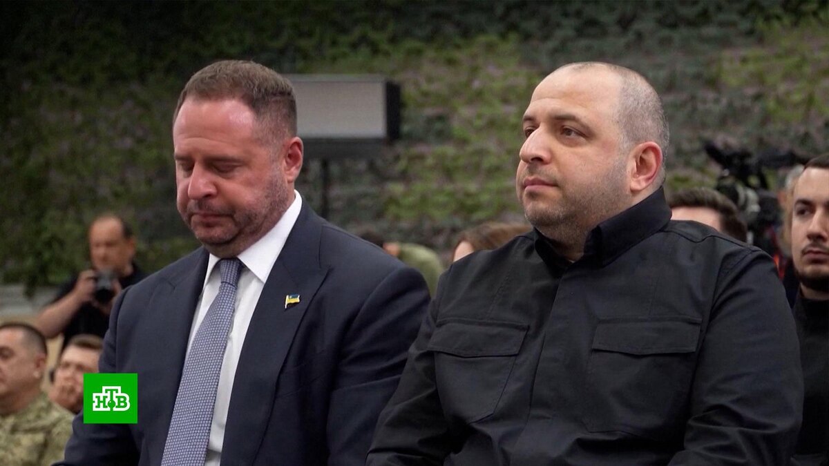      Экс-советник    Трампа призвал арестовать «неудачника Зеленского» и его окружение