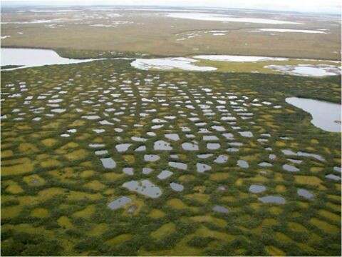 термокарст