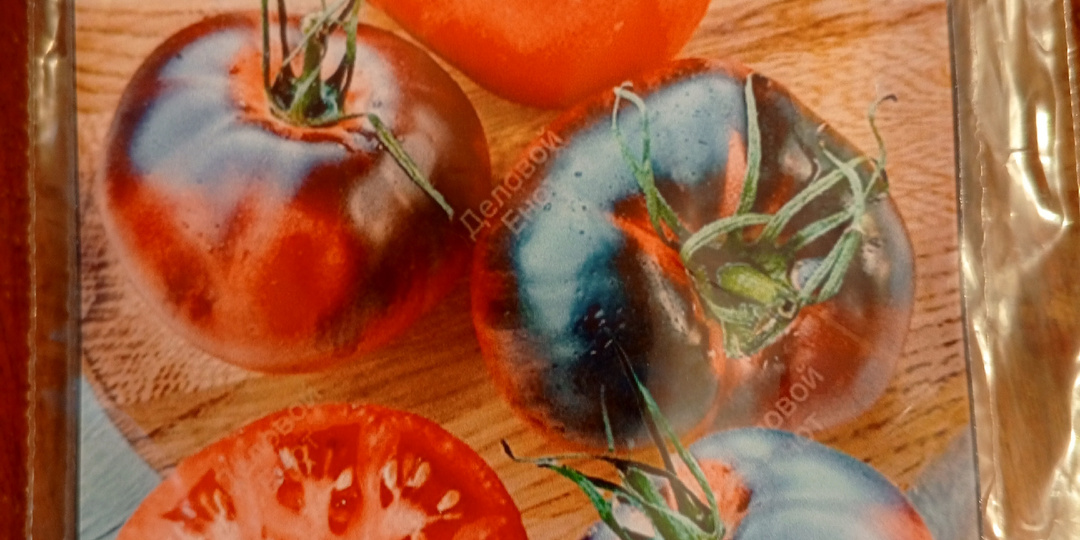 Весь день отдыхала.