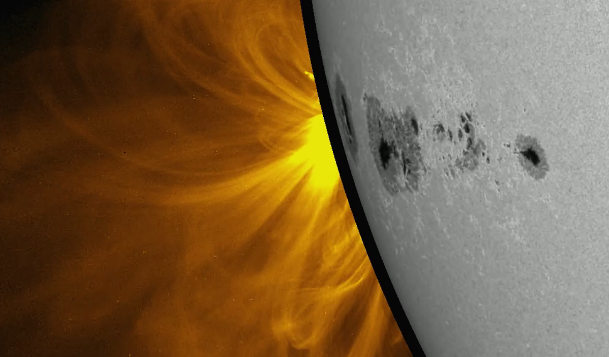     / Источник: © Лаборатория солнечной астрономии