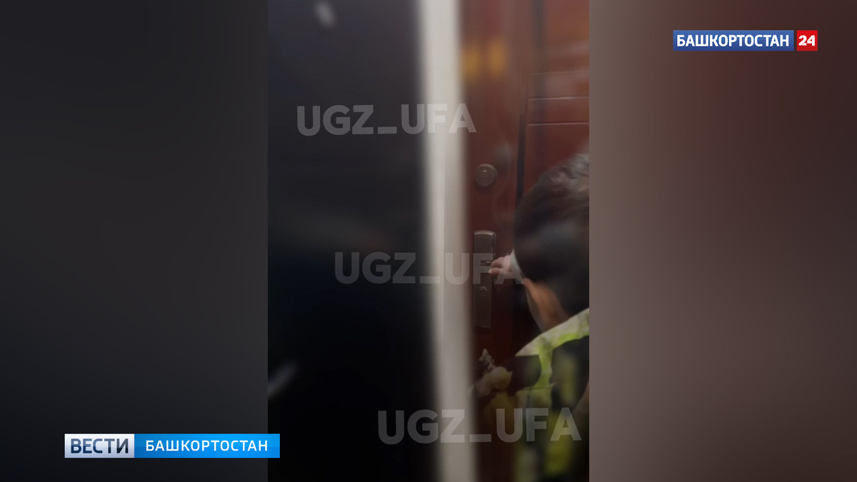    Был на подоконнике с кошкой: детская игра в Уфе закончилась встречей со спасателями