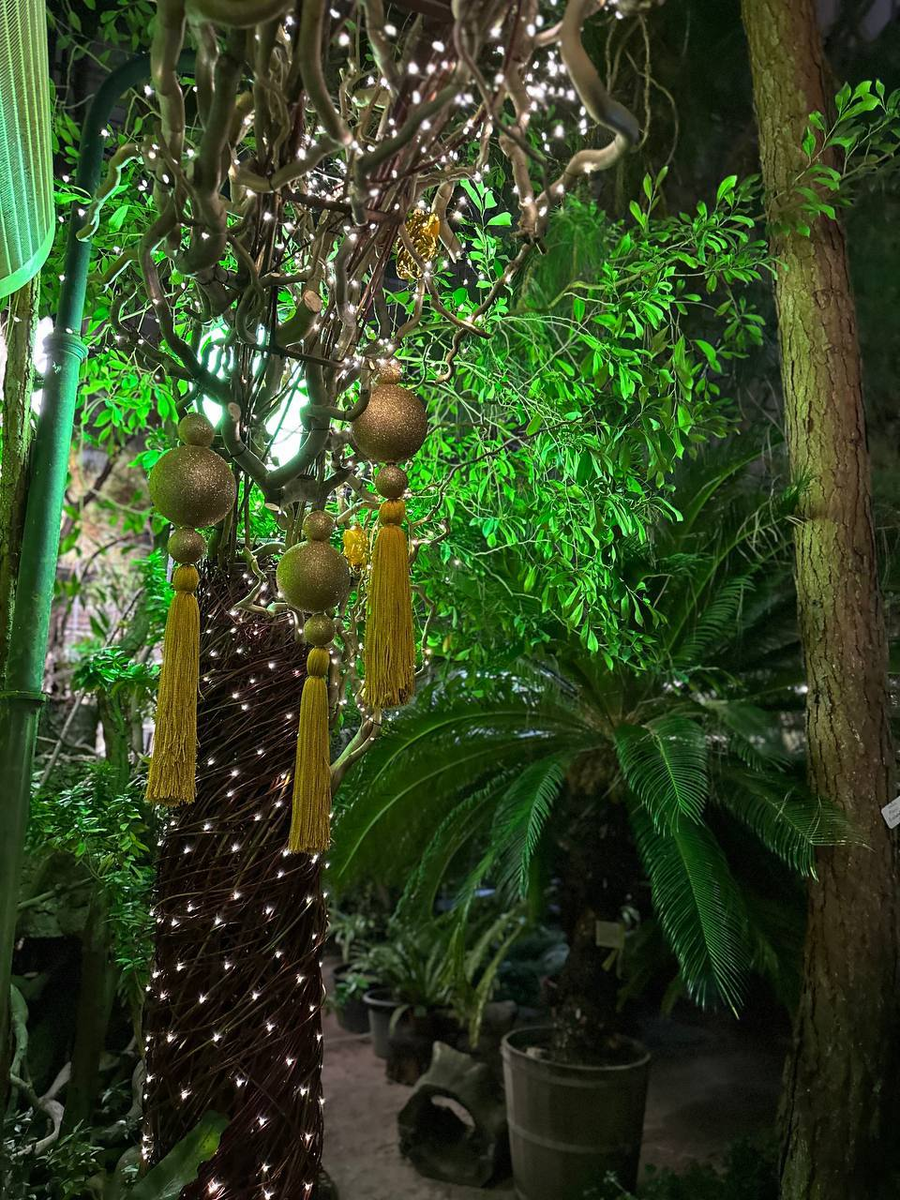 Фото: https://t.me/botsad_spb_official/7846
