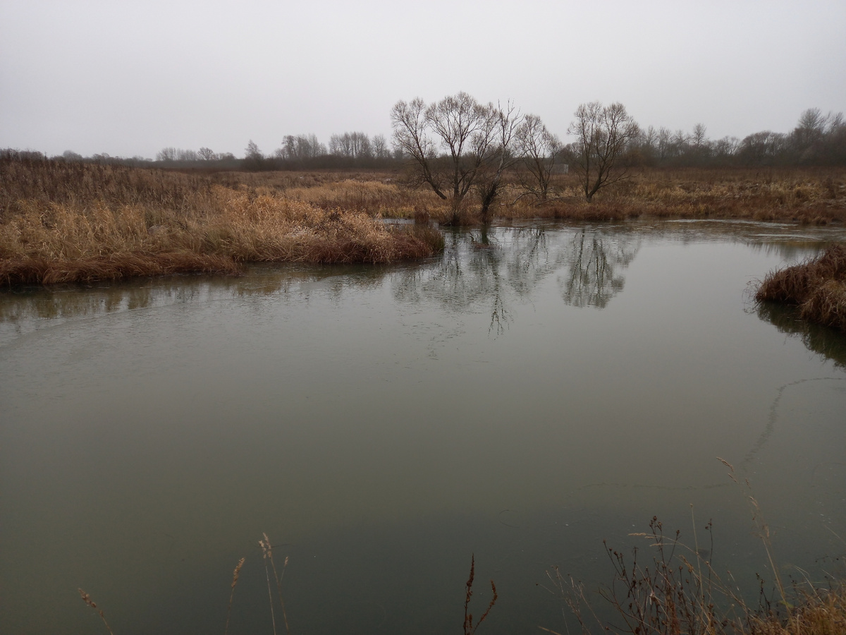 Речка предприняла неудачную попытку замерзнуть