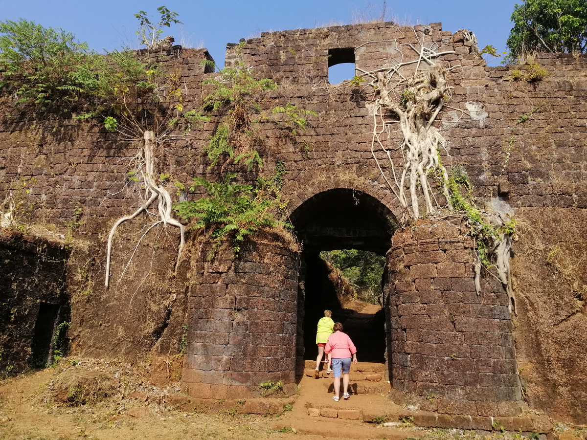 Реди-форт. Все фото в статье сделаны Автором в феврале 2024