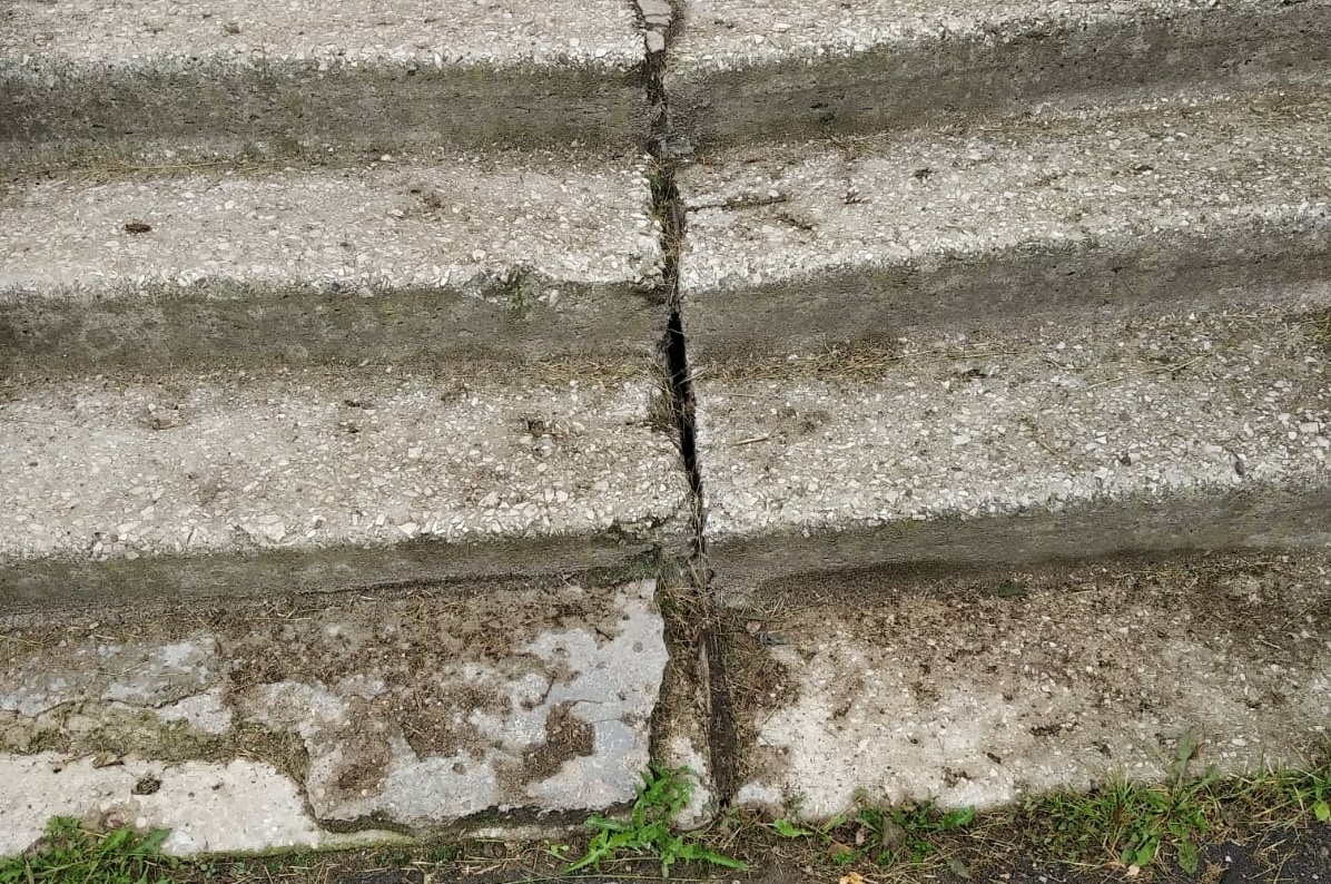 Фото: smolnarod.ru📷
