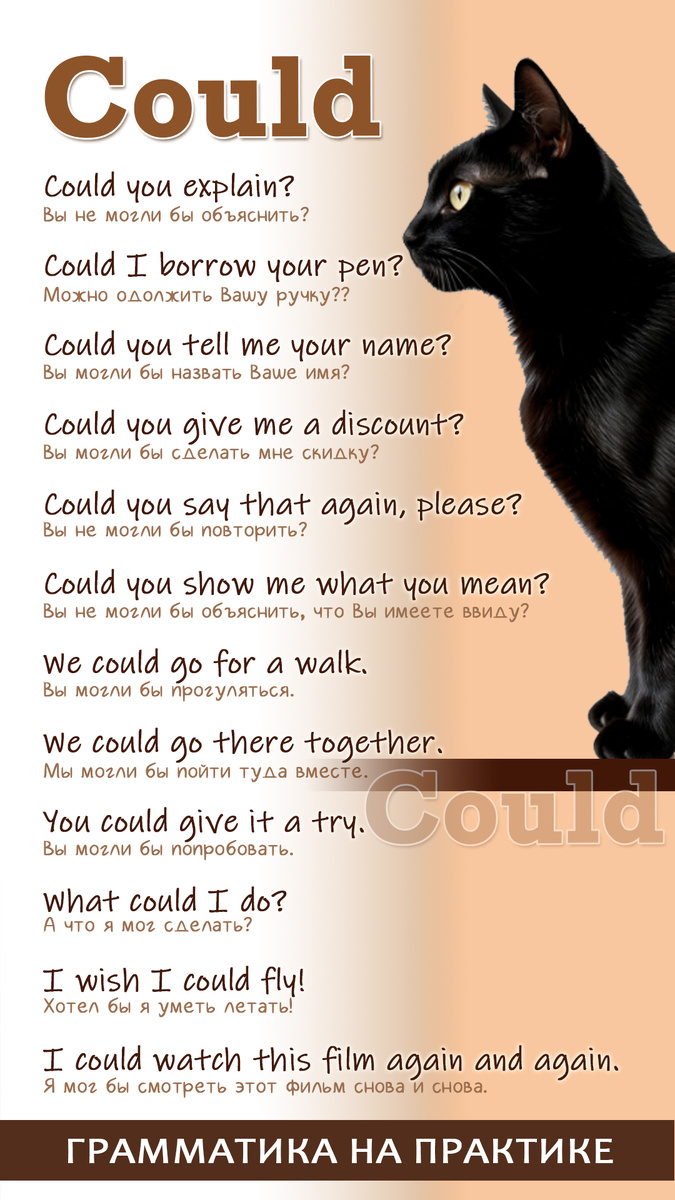 Could - это модальный глагол. Его можно использовать в утвердительных, отрицательных и вопросительных предложениях. Не нужны никакие do, does, did или am, is, are!!! Просто меняем его место в предложении! Could используется для вежливых просьб, для предложений, для возможностей и способностей в прошлом.