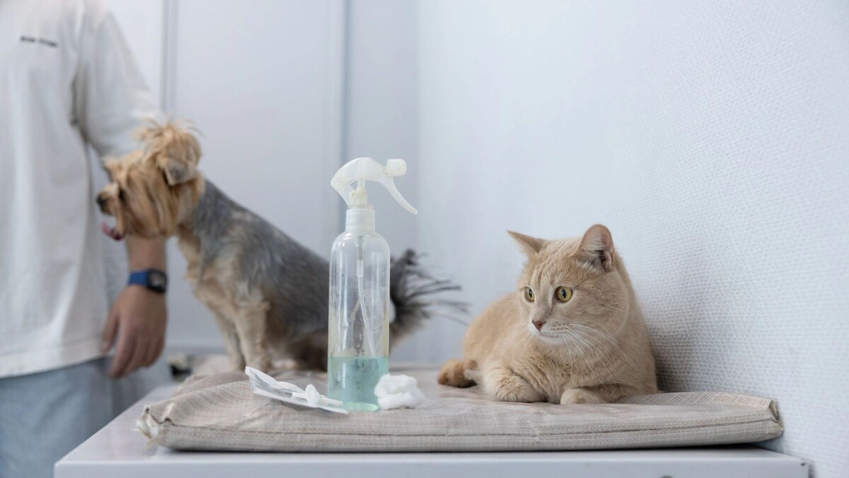    Фото: Федор Воронов / «Ямал-Медиа»