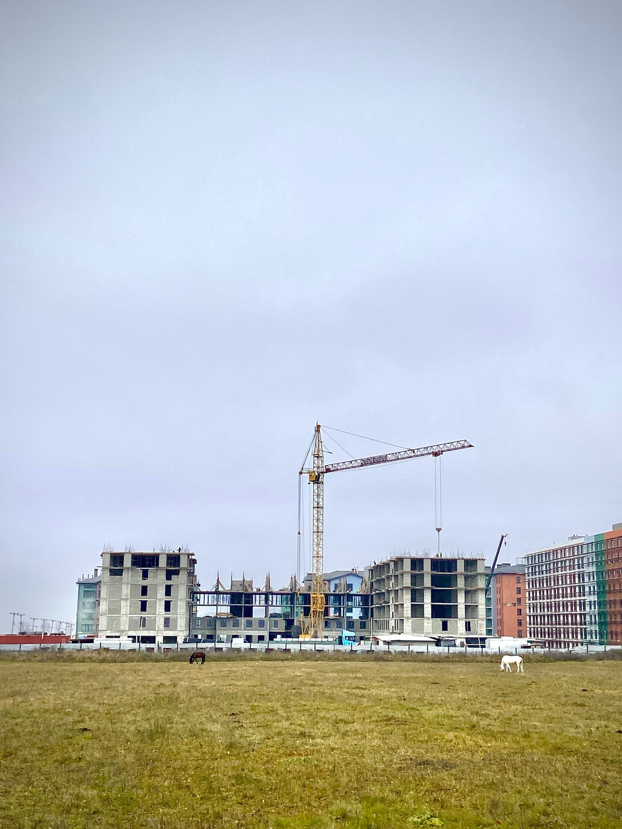 На поле около стройки гуляли лошадки. Рядом был ипподром или что-то вроде. Мне показалось, когда построят дома - лошадям будет некомфортно, и для местных жителей, мне кажется, тоже неудобно.