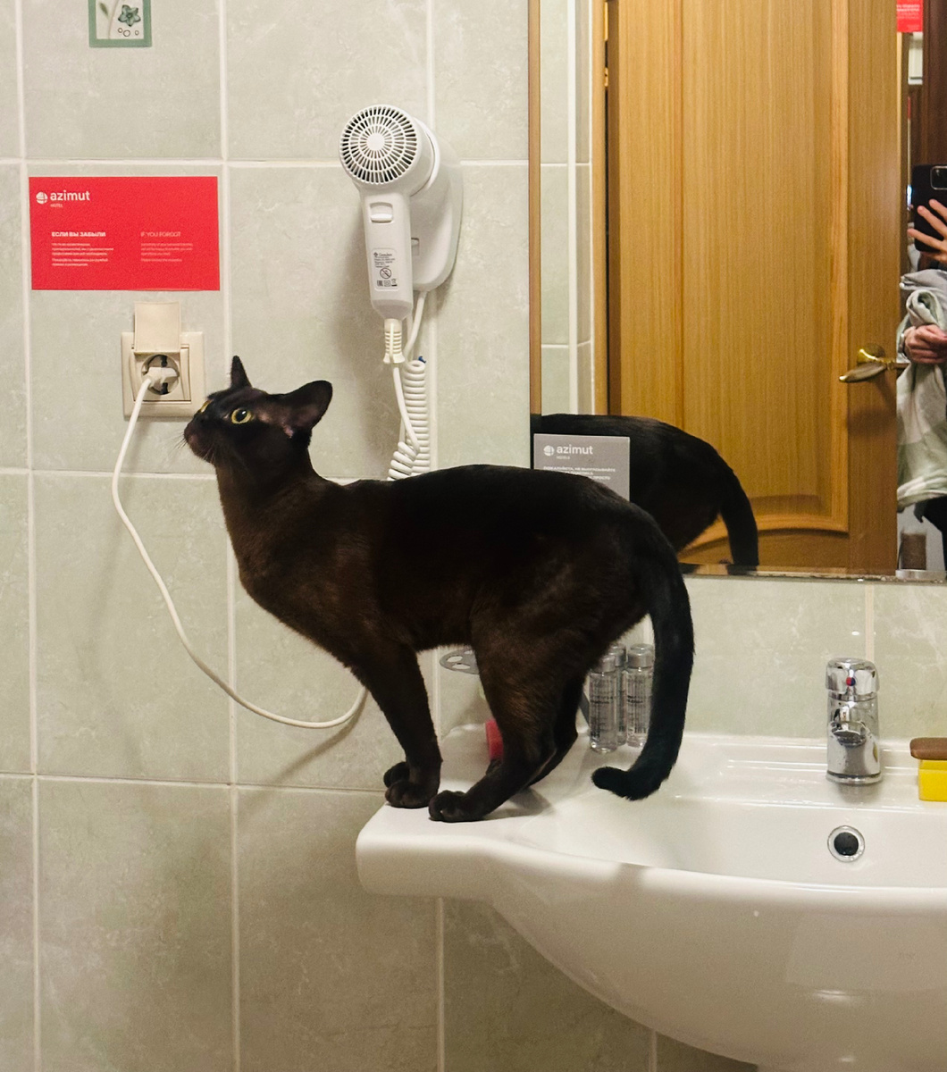 Дива осматривается в отеле Azimut в Ярославле 