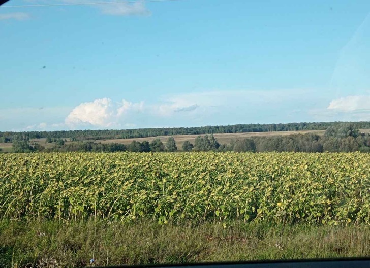    Фото: Пруфы