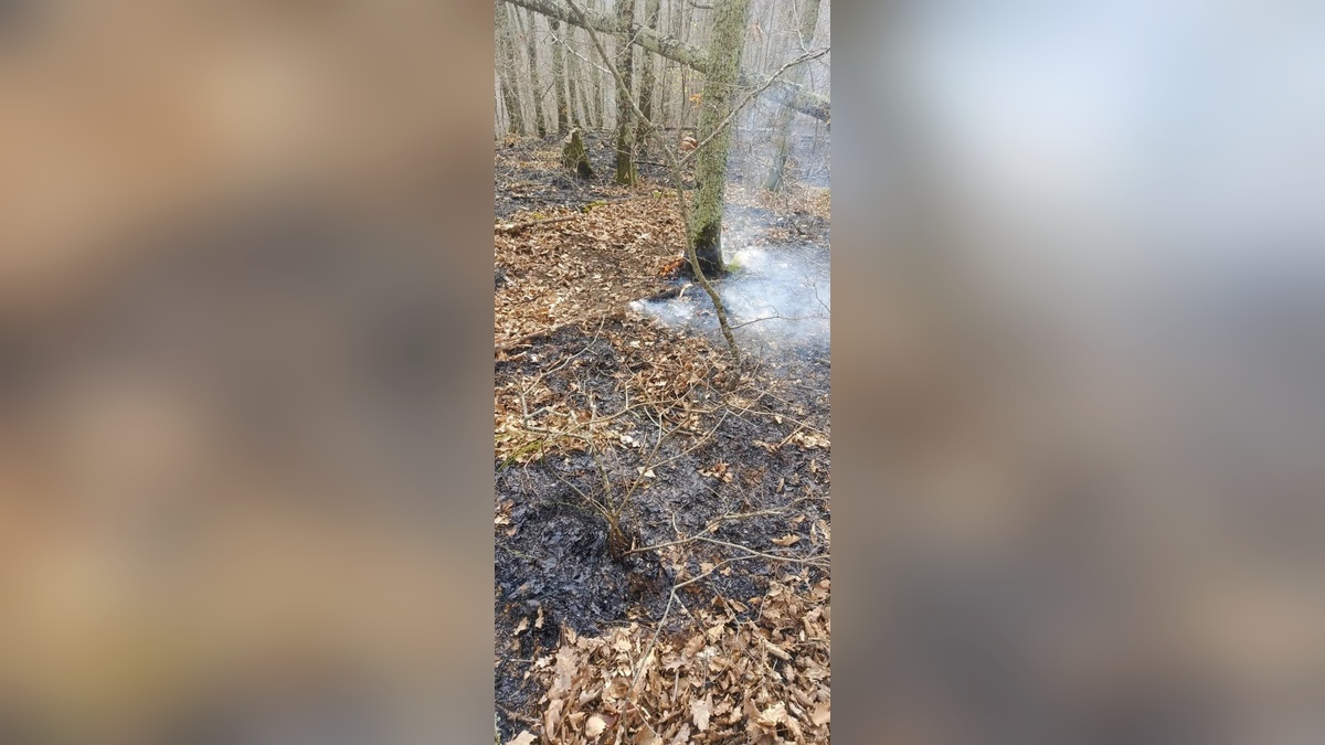    Фото t.me/krd_klpc