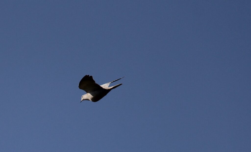    Фото: Галина Матвеева Ульяна Бажанова