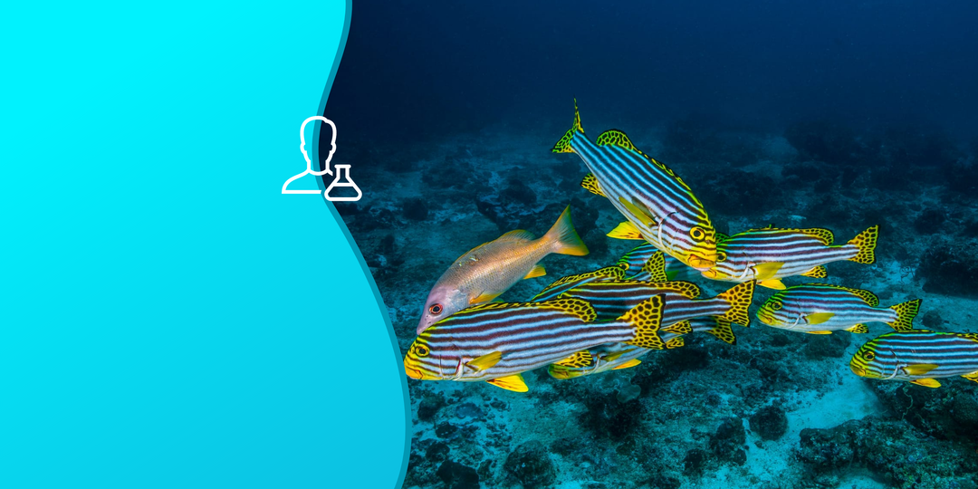 Ученые нашли новых кандидатов для экспериментов