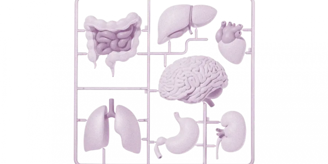 Действенная терапия стволовыми клетками — от обещаний к реальным результатам