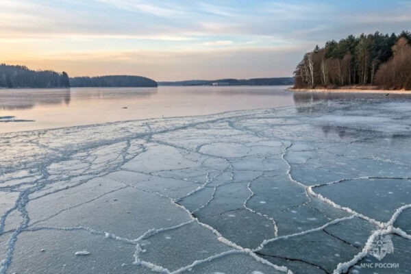    Фото: МЧС России