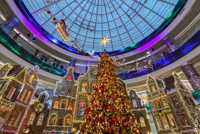 Фото из свободных источников сети Интернет