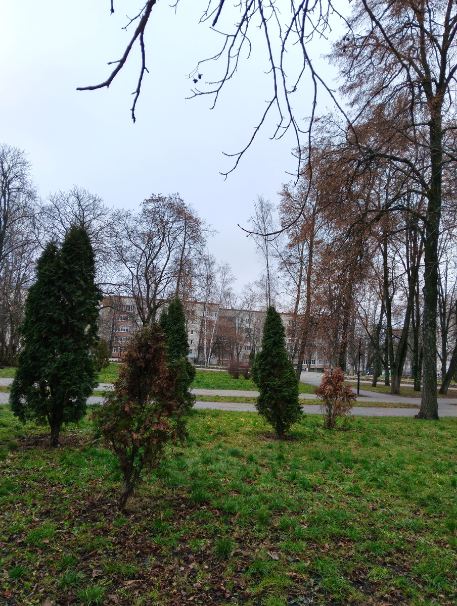 Все фото мои.