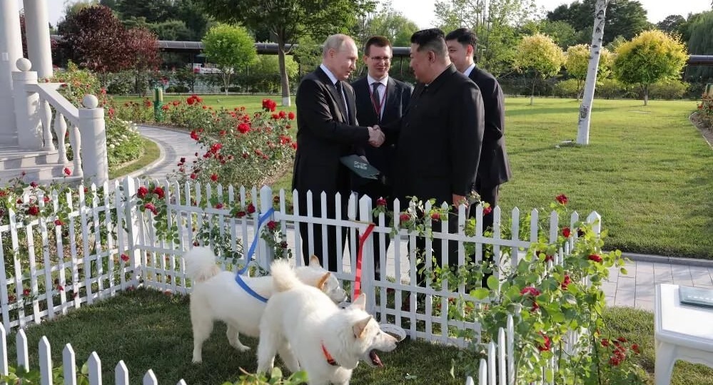 Всемирный день домашних животных отмечается во многих странах 30 ноября ― он посвящен заботе о домашних питомцах и ответственности за них