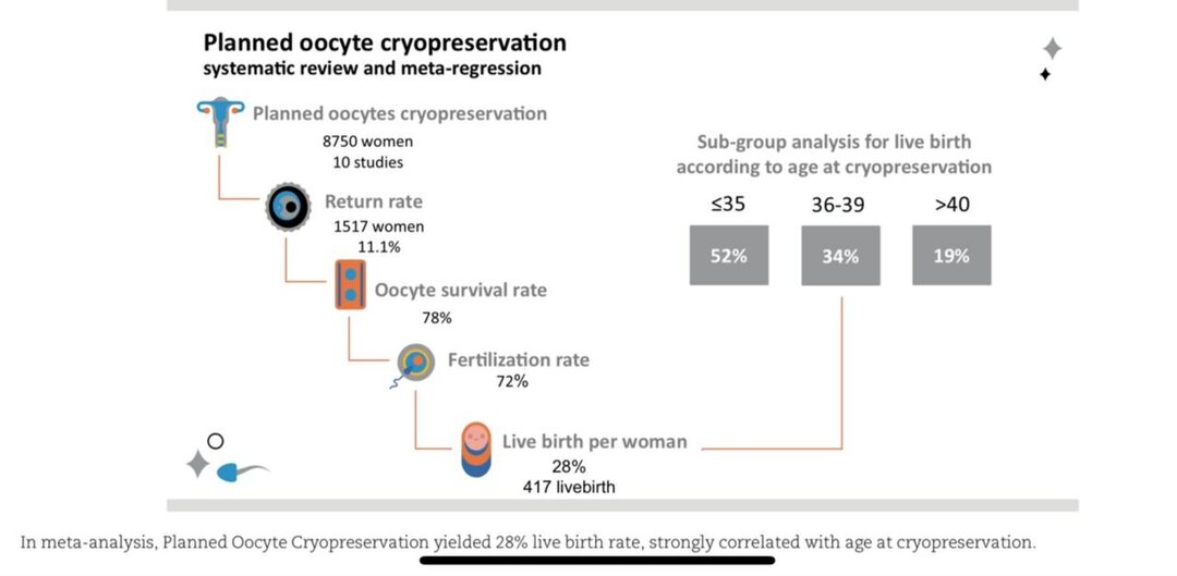 Обзор на данные по результативности замораживания ооцитов по социальным показателям