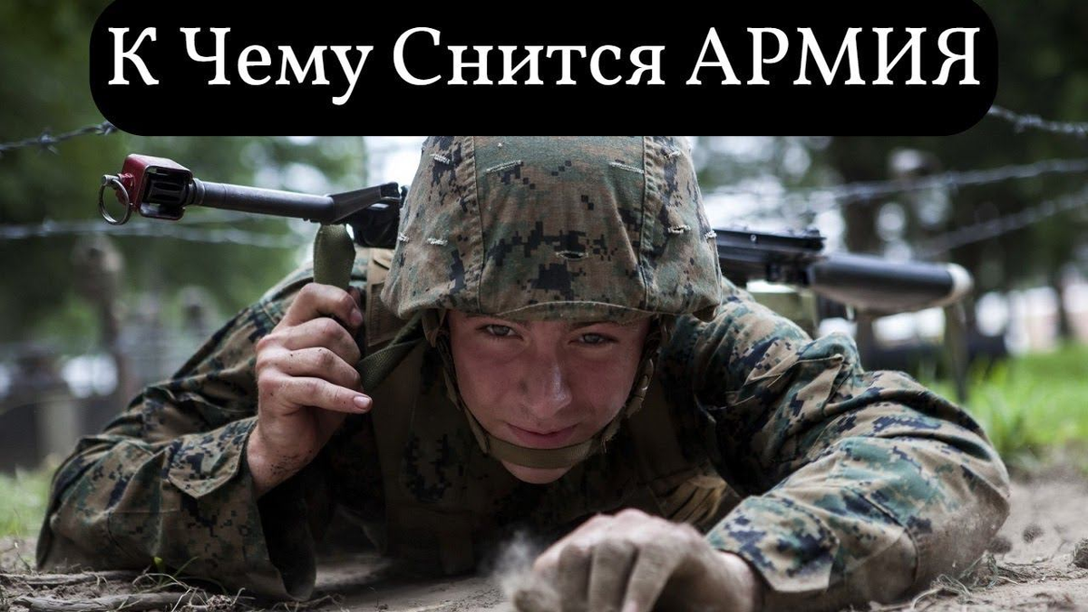 Фото из Яндекса. Спасибо автору. 