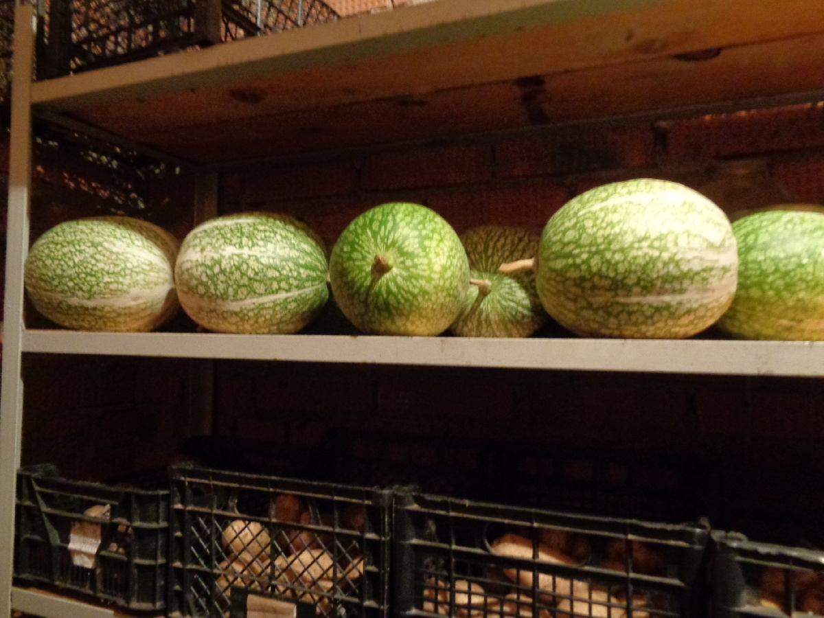 ТЫКВА ХРАНИТСЯ НА ПЕРВОМ ЭТАЖЕ В ДОМЕ