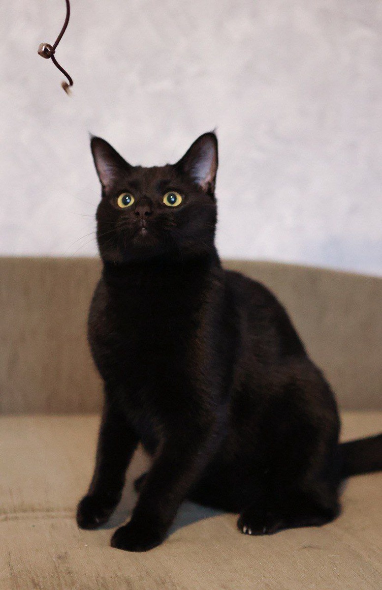 Про меня сайчас будут рассказывать, читайте до конца, человек старался, писал