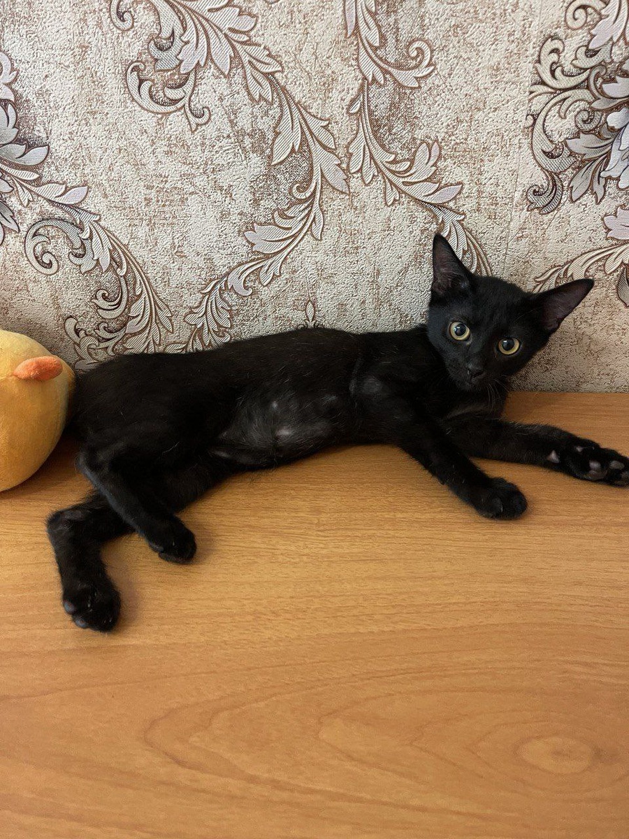 Это я уже подрос, но был, правда, с ладошку