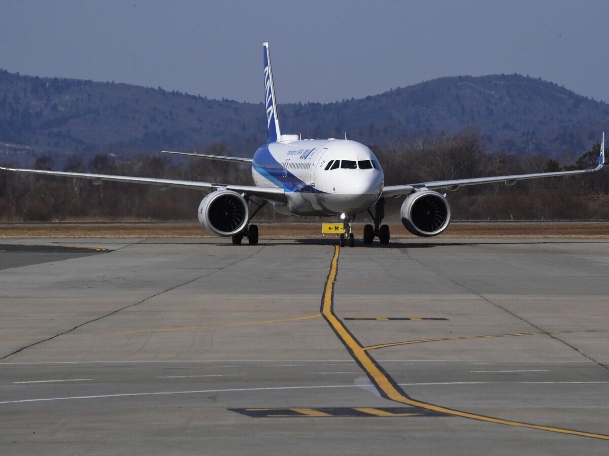    Встреча первого рейса японской компании ANA во Владивостоке© РИА Новости / Виталий Аньков