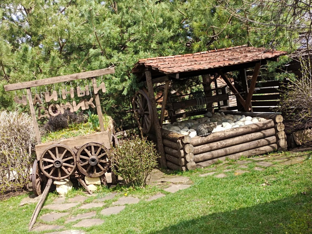 фото атвора
