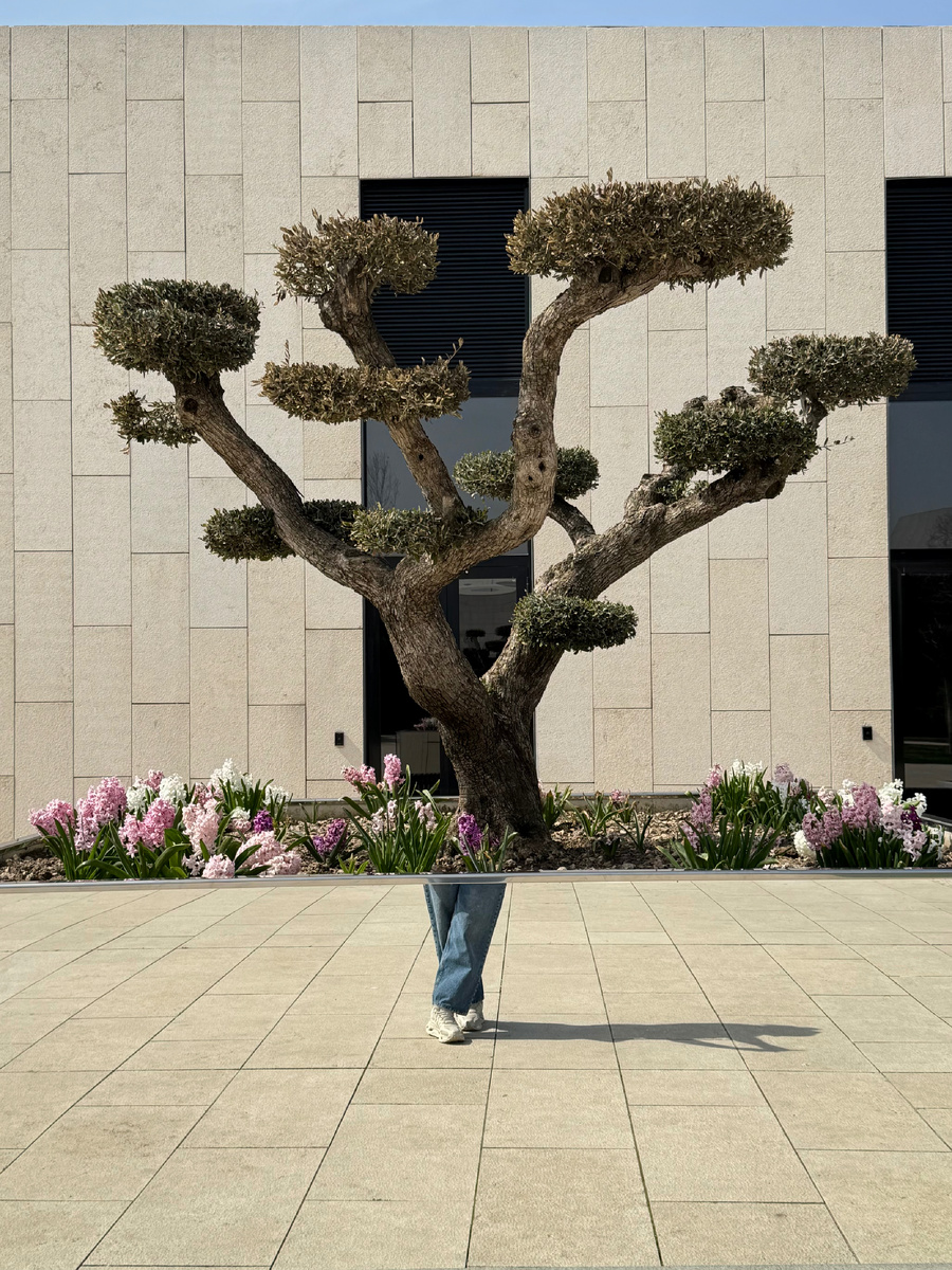 Интересная локация.