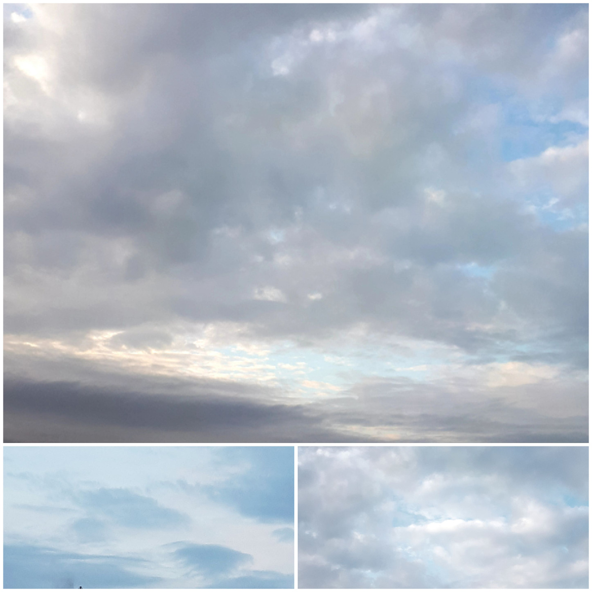 Коллаж автора 30.11.2025г.