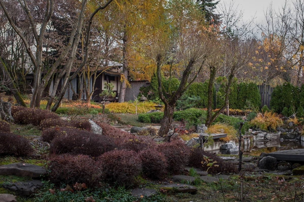 Сад ландшафтного дизайнера Елены Асташкиной |Фотография: Виталий Туманов