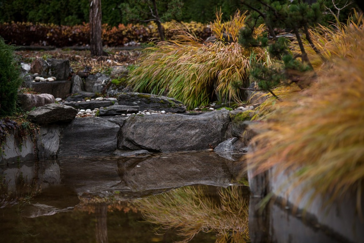 Сад ландшафтного дизайнера Елены Асташкиной |Фотография: Виталий Туманов