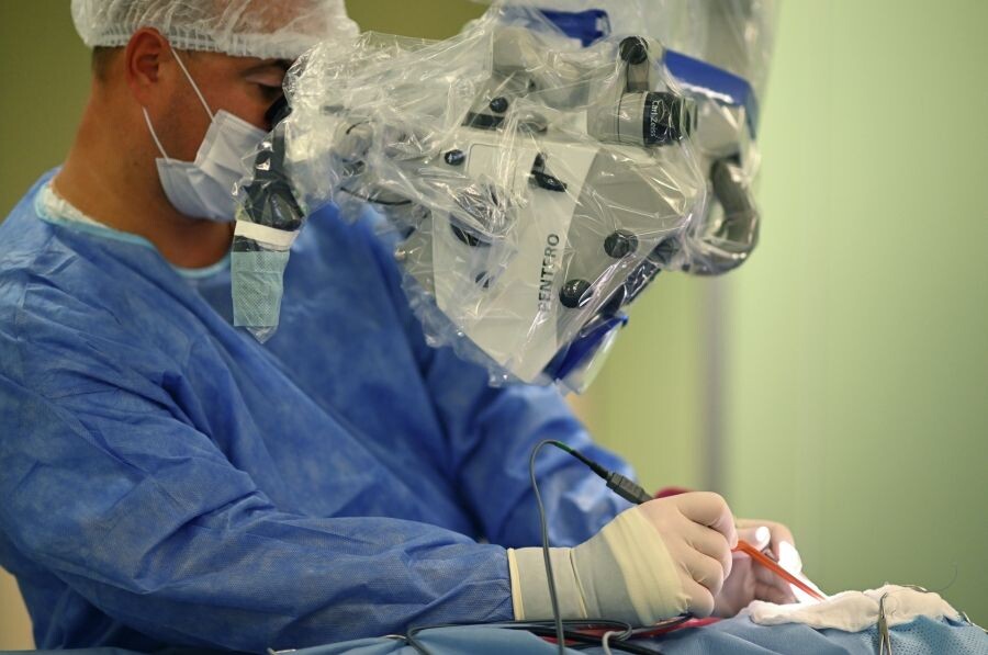     / Источник: © Алексей Майшев/РИА Новости