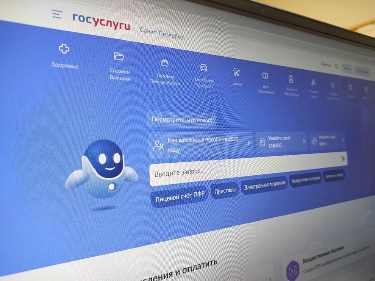     После ввода информации пользователи перенаправлялись на второй фишинговый сайт с подделкой «Госуслуг». Фото: архив МК в Питере.