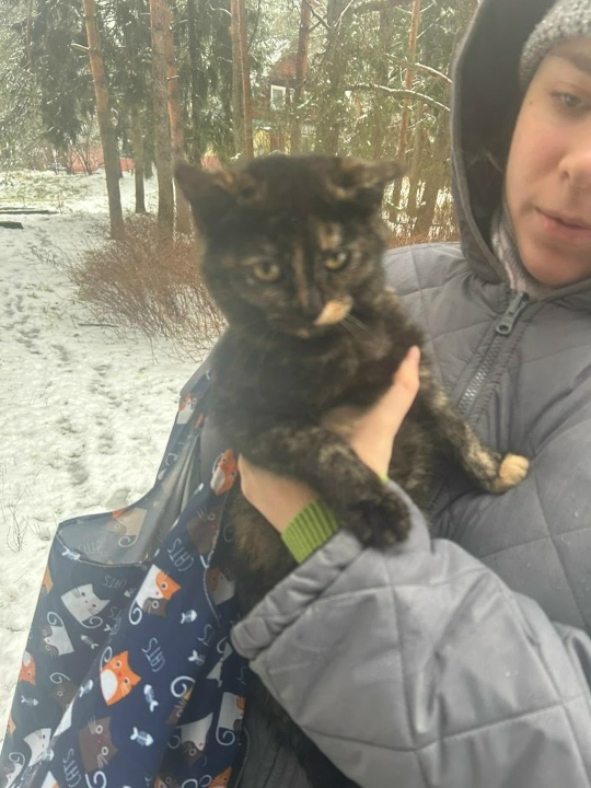 В Твери «Милый друг» просит о помощи