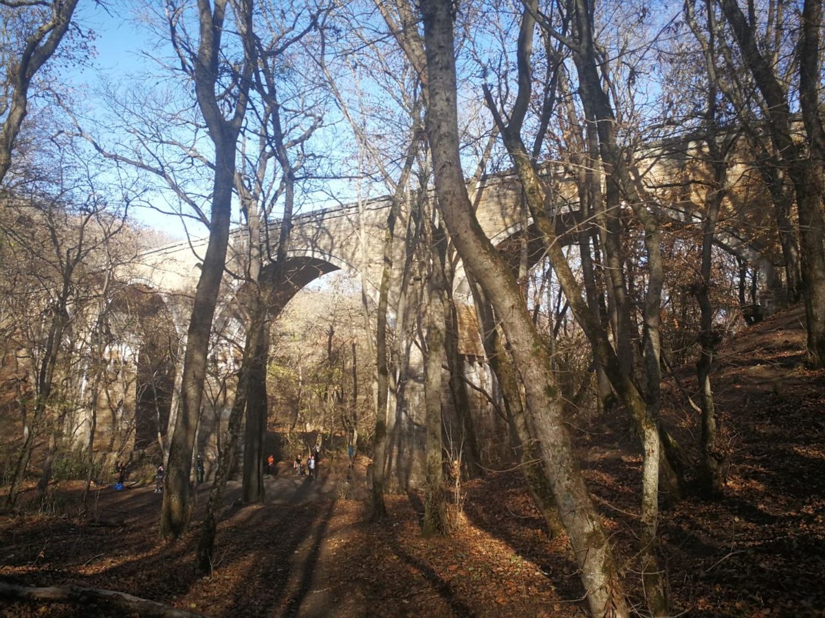 Немецкий мост скрыт в густом Мамайском лесу, из-за чего создаётся ощущение, что вы находите забытый временем объект. Ставрополь