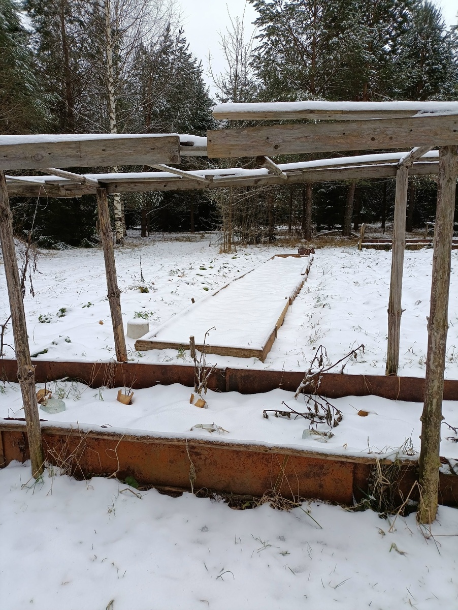 Ура, я сделала стационарную грядку. Под чеснок.