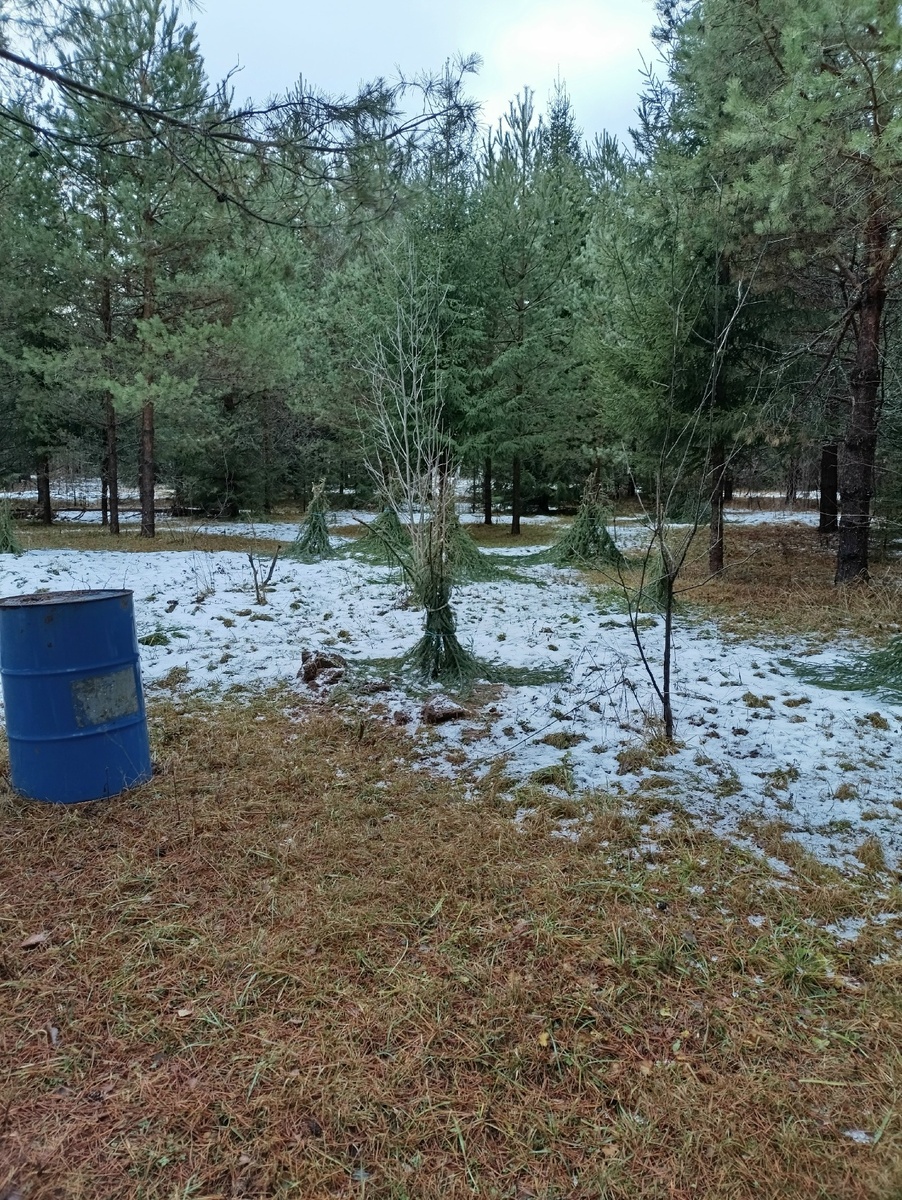 яблоньку на переднем плане пришлось переукрыть еще раз, поставив дополнительную опору для веток