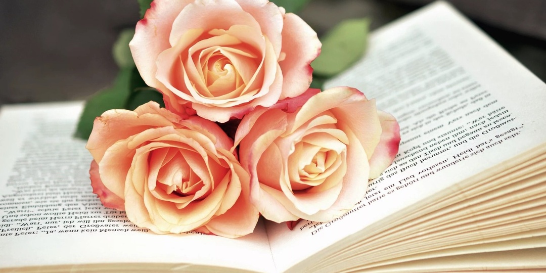 Предлагаю почитать!..