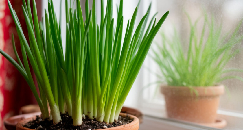    Создано в Шедевруме