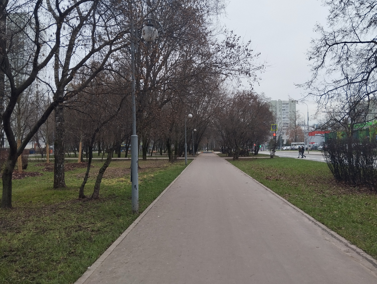 Ноябрь, прощай! Скатертью дорога! Последний ноябрьский день в Лианозово. Фото автора.