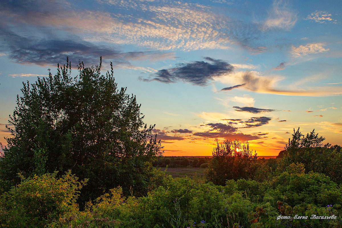 Вечернее небо. Фото Елены ВАСИЛЬЕВОЙ.
