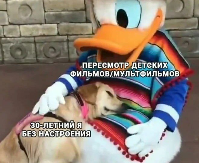 Наши любимые мемы ноября