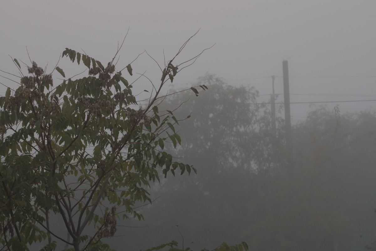    Фото: ТРК «Таврия»