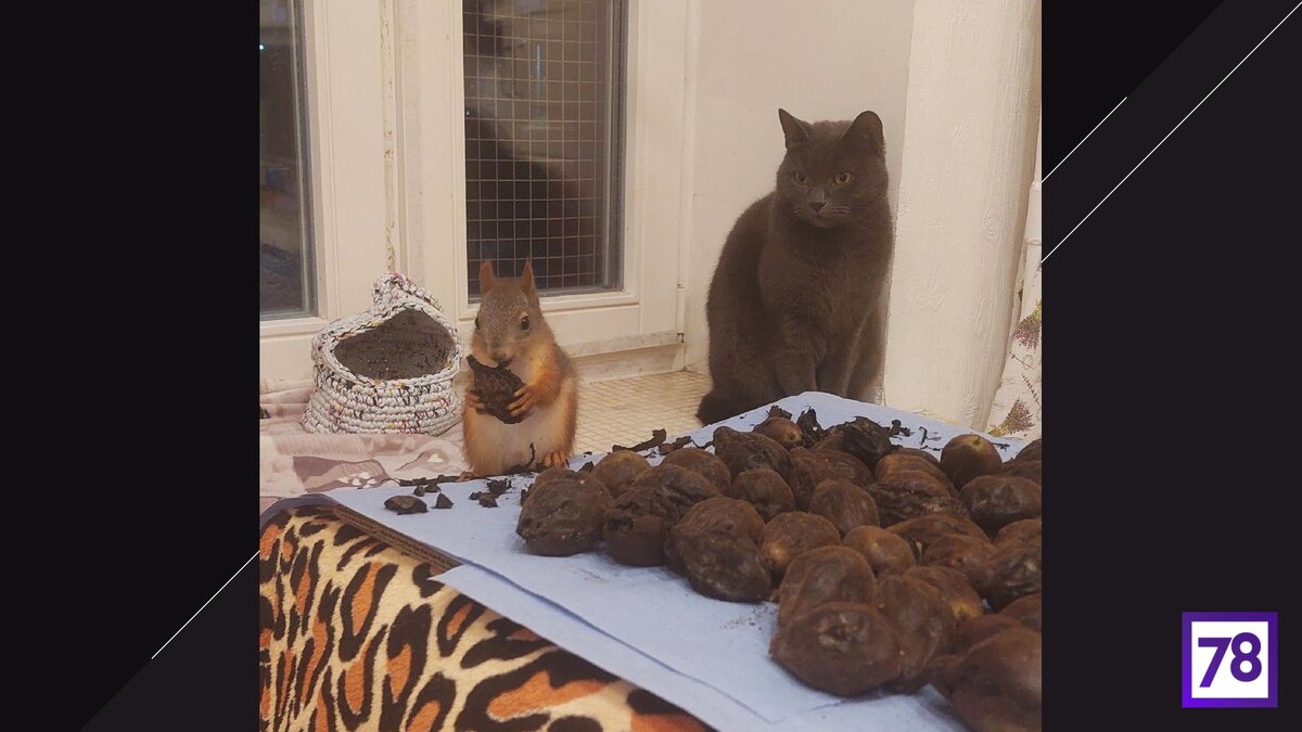    Фото: vk.com/udelnyjpark