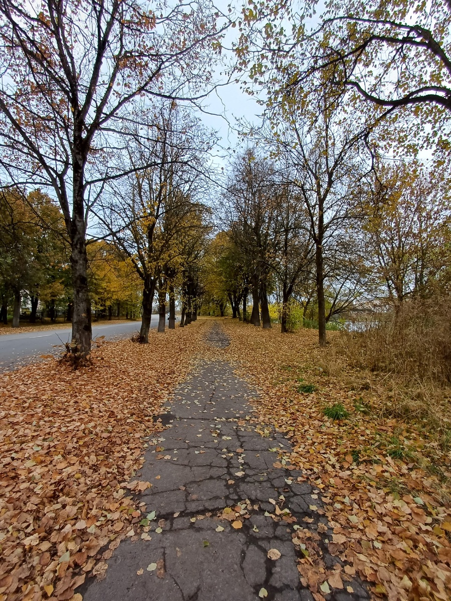 Просто улочка Пскова