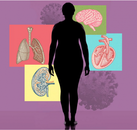 Изображение из открытых источников.