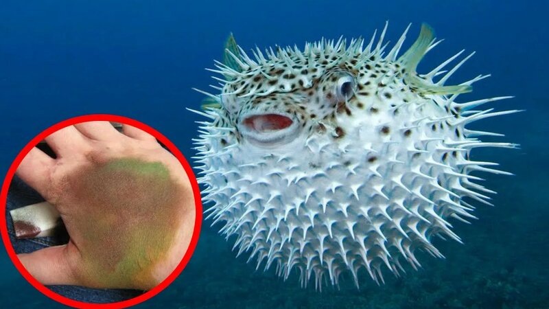 Фотография из интернета