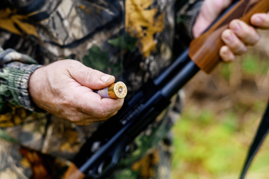    Shutterstock/FOTODOM